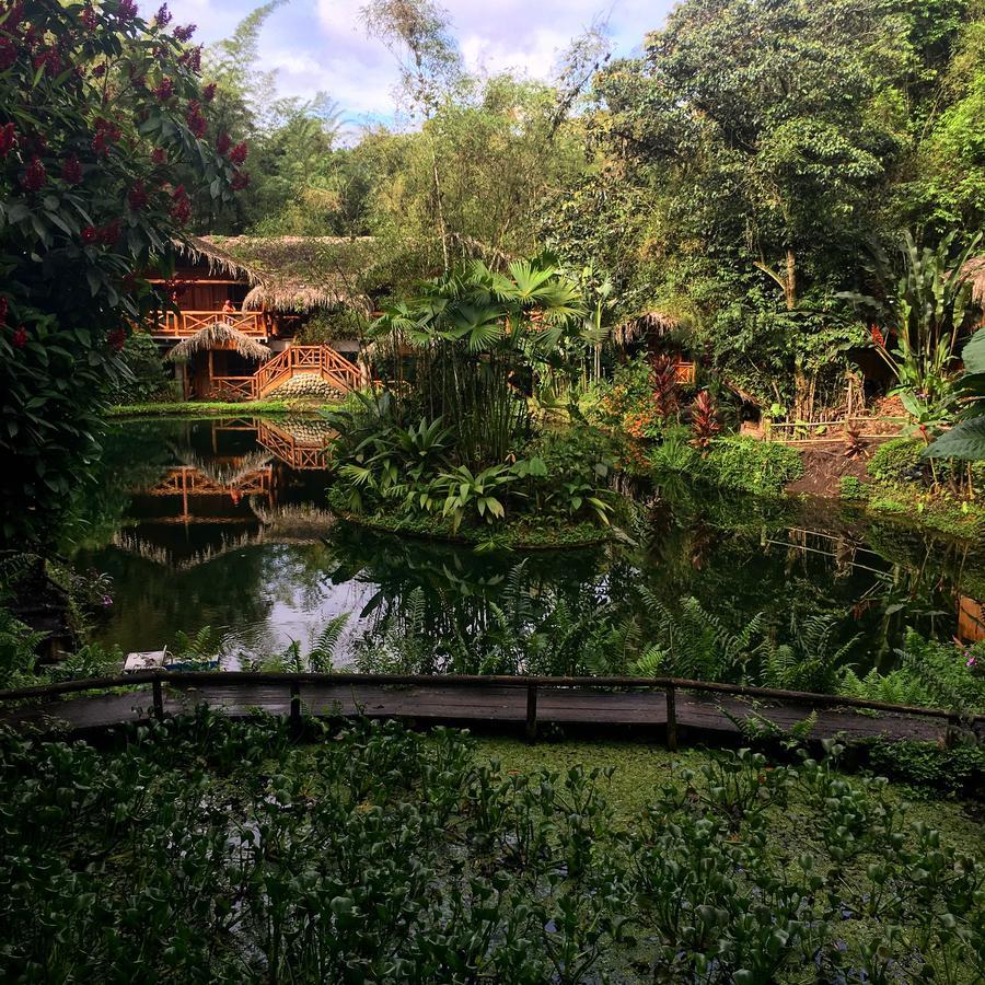 Mindo Lago Hotel Destino Eksteriør bilde